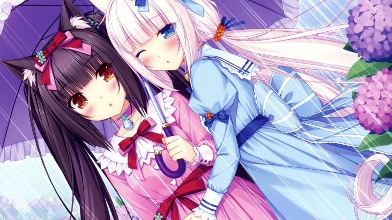 pink color, white, Neko Para, large group of objects, childhood, women, 2K, character, toy, blue, day, clothing, hairs, nature, Chocolat (Neko Para), multi colored