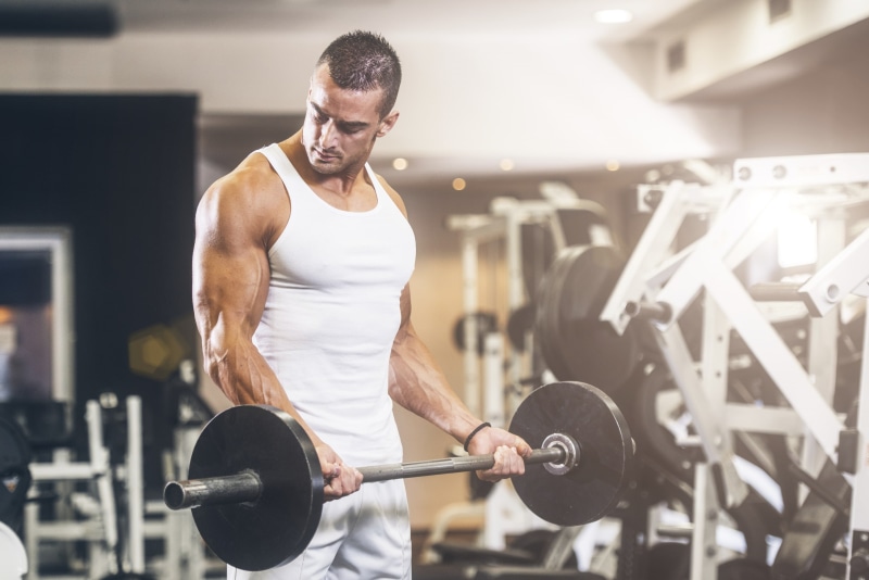 gym, fitness, 2K, muscles, bodybuilder