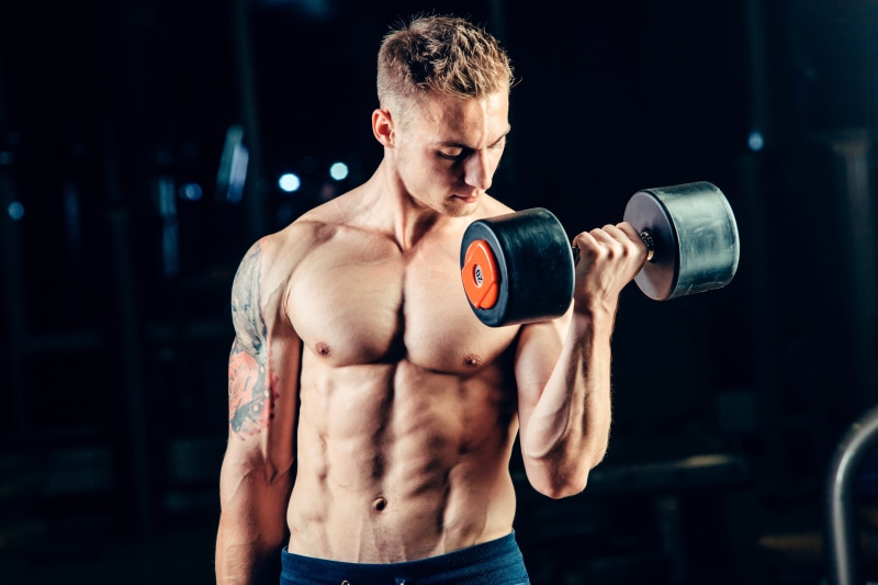 fitness, man, tattoo, 8K, barbell, gym, muscles