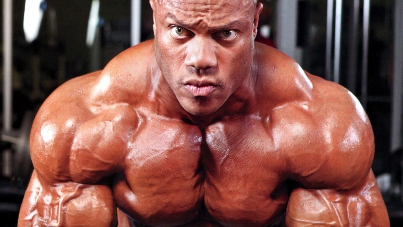 muscles, bodybuilding, 1080P, lifting, muscle, fitness, body building, weight