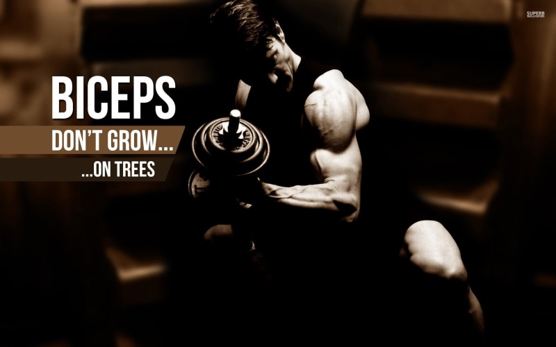 bodybuilding, lifting, weight, body building, fitness, muscles, 1080P, muscle