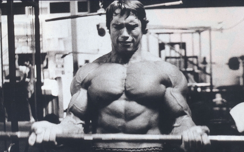 Barbell, Bodybuilder, Exercising, bodybuilding, 5K, Arnold Schwarzenegger, Gyms, Dumbbells
