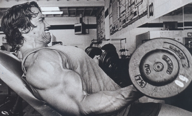 strength, people, dumbbells, relaxation Exercise, actor, human Muscle, flexing Muscles, effort, activity, dumbbell, males, real people, muscular Build
