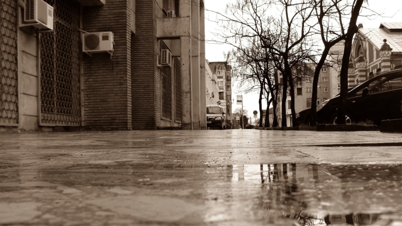 reflection, no people, bare, outdoors, car, trees, tree, day, sepia, nature, street, water, city, rain, motor vehicle, built structure, wet, surface level