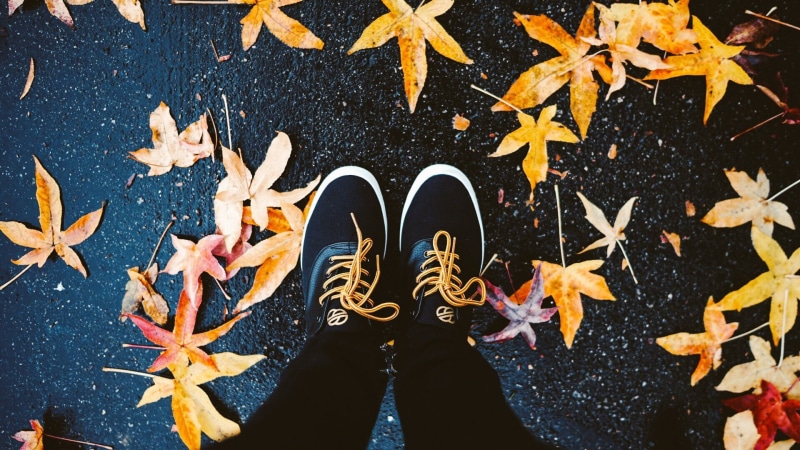 standing, wet, yellow, plant part, top, top view, white, directly above, one person, wet street, leaves, autumn, leaf, human body part, low section, real people