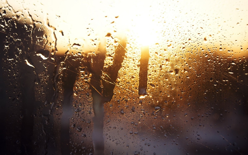 nature, close-up, dew, sunset, drop, sunlight, rain, indoors, car, sun, wet, raindrop, motor vehicle, glass - material, window, water on glass, no people