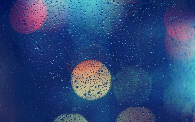 water, transparent, 2K, no people, wet, beauty in nature, photography, animals in the wild, glass, animal wildlife, animal, bokeh, undersea, window, water on glass