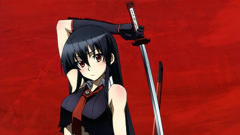 Akame ga Kill, character, katana, sword, anime, 4K, hair, akame, ga, kill, woman, black