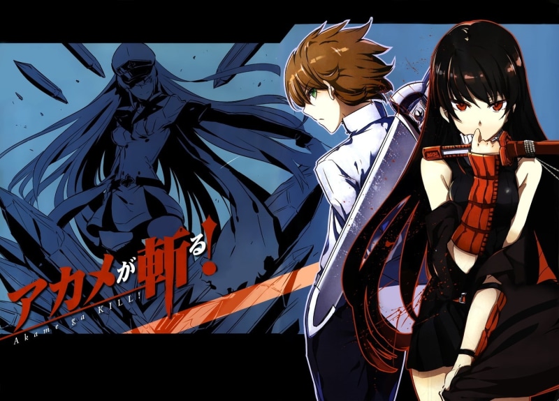 720P, ga, akame, tatsumi, kill, anime girls, girls, akame ga kill, anime, esdeath