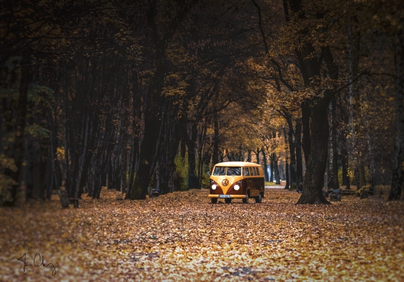 autumn  color, volkswagen, vintage, Volkswagen Type  2, leaves, land Vehicle, outdoors, travel, white, season, vw  bus, nature, colorful, transportation