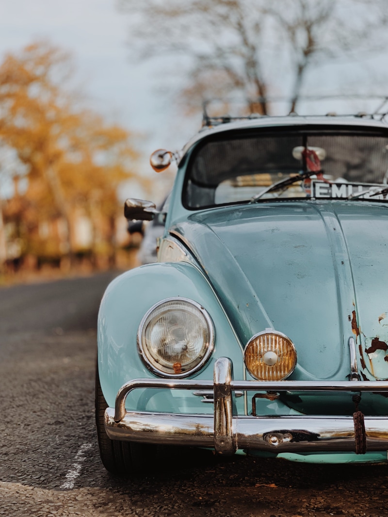 2K, mode of transportation, vehicle, motor vehicle, city, plant, fall, vintage, old car, retro, built structure, day, beetle, vw bug, tree, volkswagen