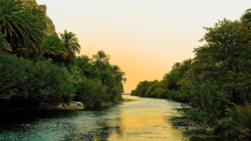 Jungle, 1080P, art, space, x, moons, px, hd, river, 1920x1080 px