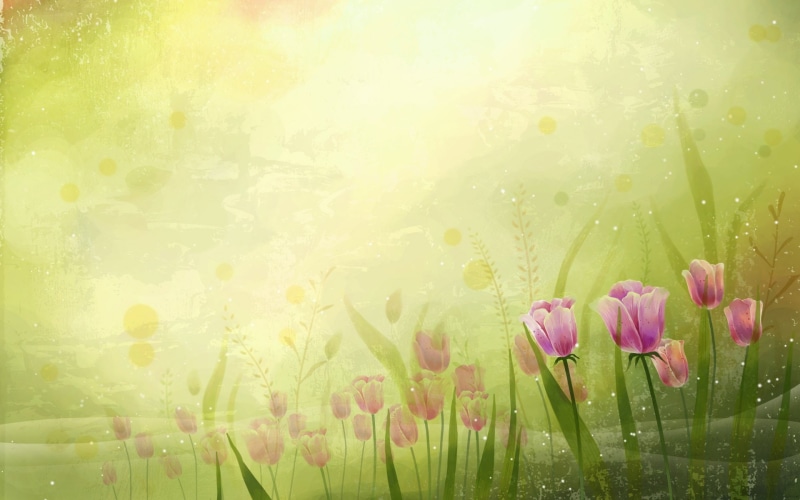 hd, Vector, baseball, sports, Abstract, lovely, x, art, 1920x1200 px, px, Flowers, 1080P, colors
