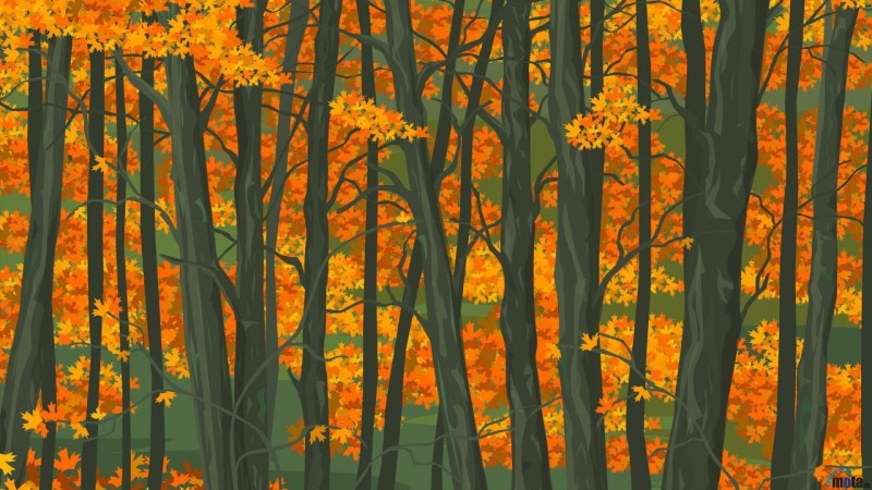 art, Green, forest, glass, Trees, leaves, 1920x1080 px, x, breaking, Jungle, bad, hd, px, abstract, 1080P