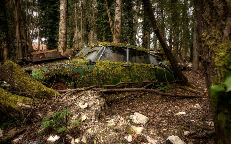 trees, abandon, nature, 1080P, hd, overgrowth, classic, car, deserted, forest
