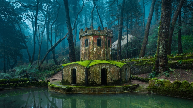 reflection, water, nature, trees, forest, architecture, old, tower, building, lake, old building, 4K