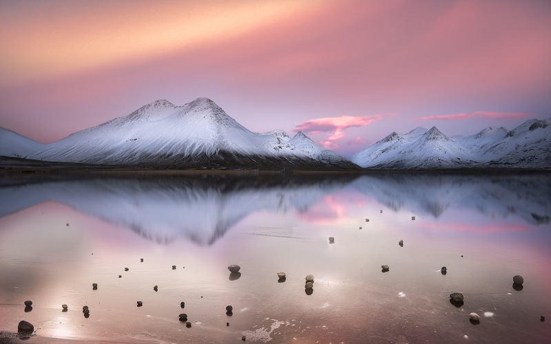 tranquil scene, sky, cold temperature, water, pink, beauty in nature, reflection, snow, filled, scenics - nature, large group of animals, landscape, winter