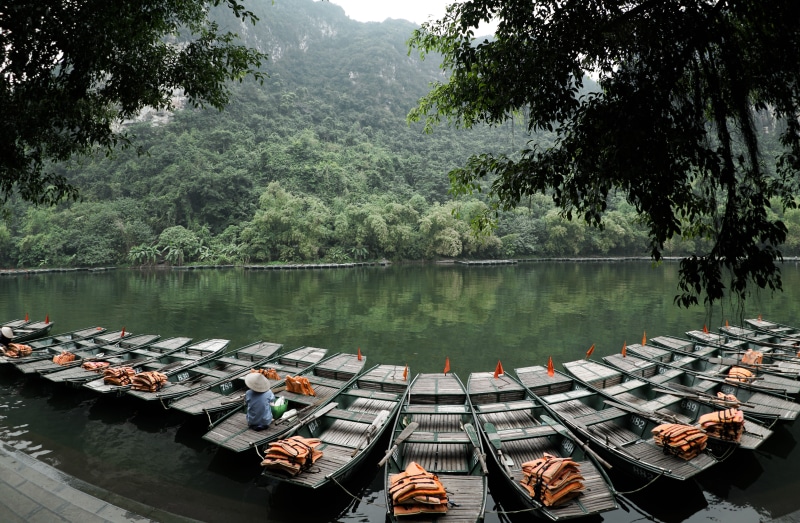 asium, wearing, 8K, dock, cone, tree, outdoors, green color, water, nature, sitting, moored, lake, no people, trees, boat, growth, day, transportation