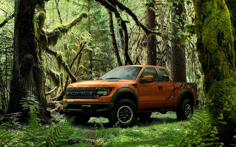 pickup, car, nature, trunk, outdoors, growth, 2K, travel, mode of transportation, orange, tree trunk, cab, green color, day, tree, motor vehicle, transportation