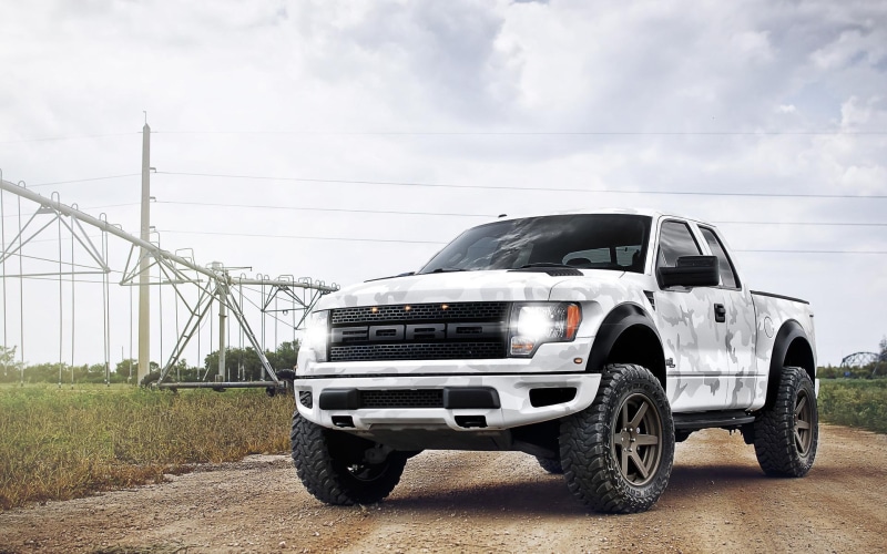 white, cars, ford, pickup, cab, extended, truck, 1080P, arctic, camo, raptor