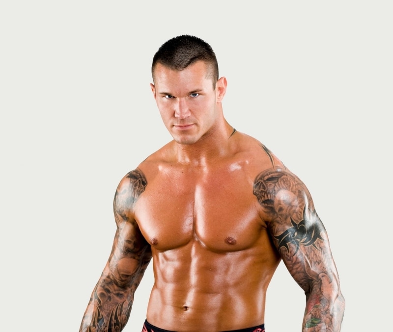 athlete, orton, indoors, WWE, bicep, men, healthy lifestyle, muscular build, human arm, body part, human muscle, randy orton, abdominal muscle, lifestyles
