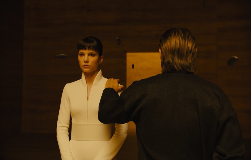 Blade Runner 2049, Movie, 1080P, Sylvia Hoeks
