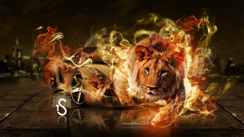 nature, sportscar, backgrounds, abstract, illustration, mammal, burning, fire, Lamborghini, night, lion - Feline, red, feline, one animal, no People, digital composite