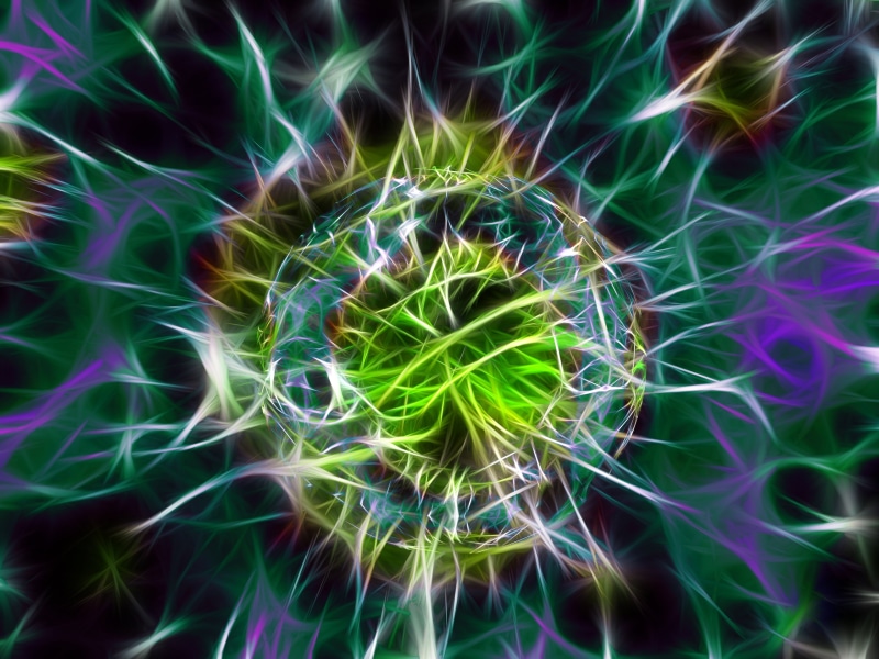 green Color, abstract, creativity, fragility, neon, no people, purple, nature, multi Colored, vulnerability, photographic Effects, blue, fractal, multicolored