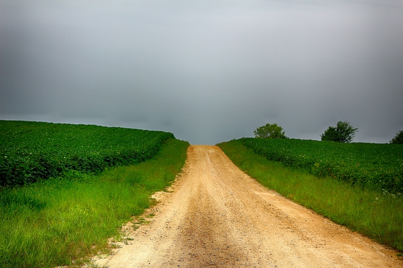 green Color, meadow, field, green, land, tree, explore, dirt, grass, USA, dirt road, nature, green grass, Virginia, summer, road, hill, sky, flickr, daytime