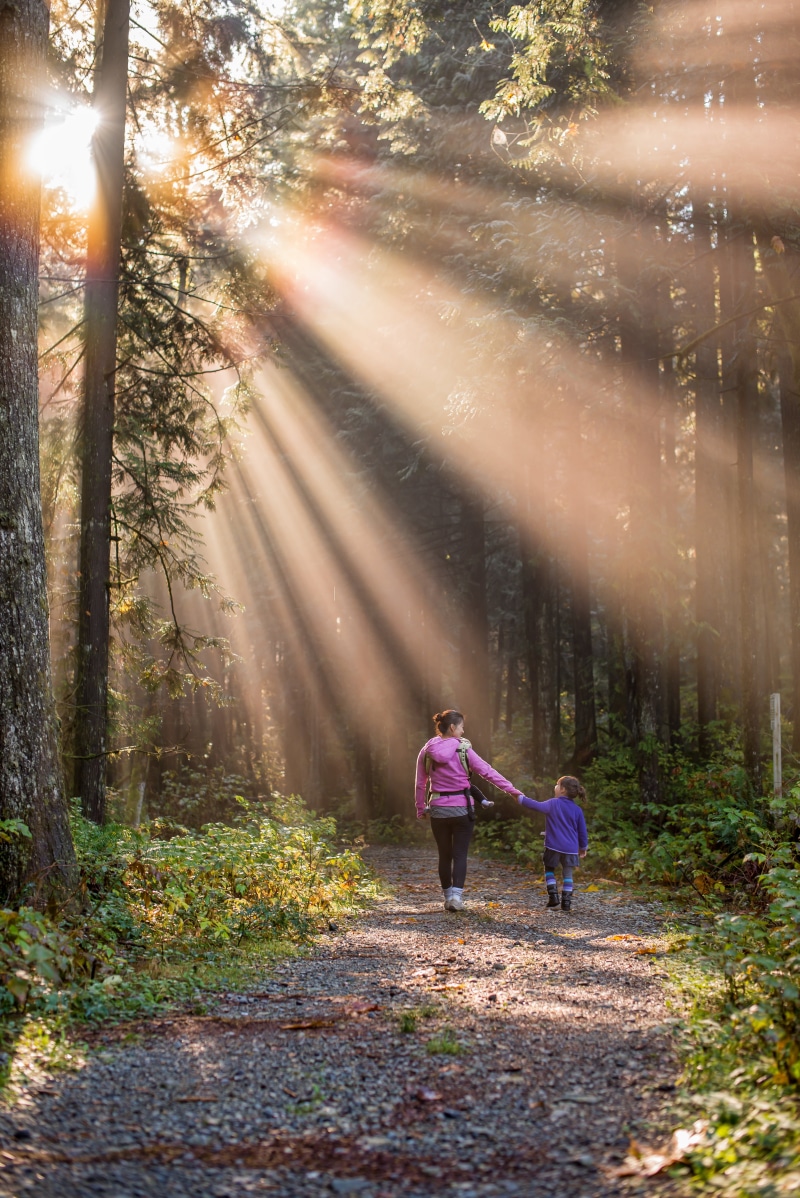 love, walk, female, light, one woman only, adult, two, path, british columbia, beauty, happy, green, outdoors, woods, woodland, holding, outdoor, parent