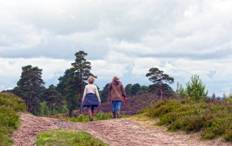 rural, track, leisure activity, person, females, moving Activity, walk, positive emotion, hdr, physical Position, form Of Communication, clouds, adults Only