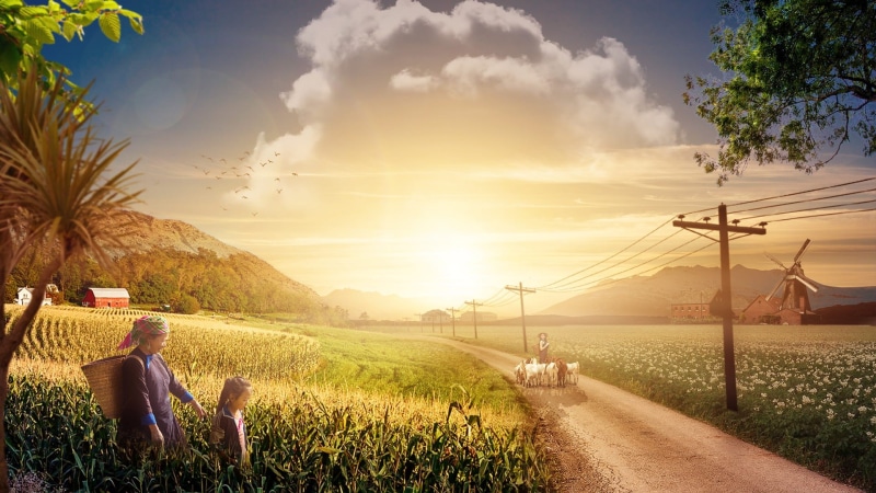1080P, sunlight, farm, digital art, road, adult, women, plant, near, walking, digital photography, garden, land, walking on, grass, daytime, sunny, child