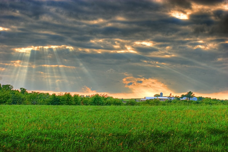 pastures, sunset, commulus, clouds, stratus, green pastures, hour, 2K, field, agriculture, eau claire county, grass, hdr, Sky  Landscape, golden, stratus clouds