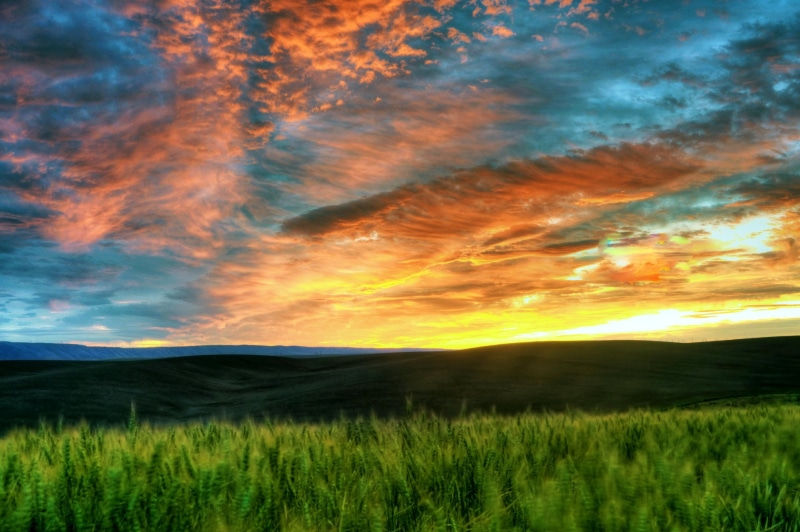 nature, summer, scenics, colorful, golden, sky, golden hour, sunrise, grass, hour, Wasco, sunlight, sunset, rural Scene, photo, explore, cloud - Sky, Here Comes The Sun