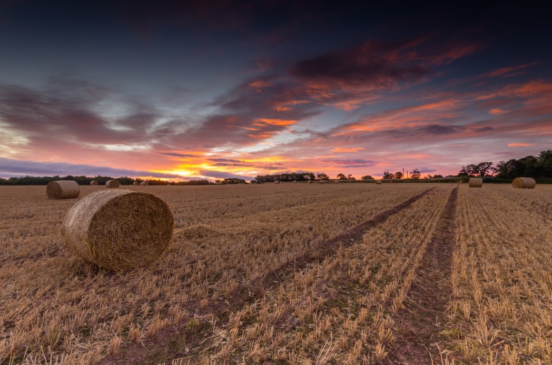 golden, yellow, hay, scenics, crop, land, landscape, Scottish-Borders, Scotland, non-Urban Scene, rolled, wheat, gold Colored, autumn, bale, Nikon, rural Scene