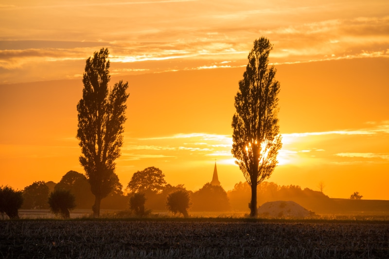 golden hour, f/3.5, nature, geo, lens, himmel, dusk, focal_length, exif, sunlight, cloud, camera, s18, sunrise, sunrise - Dawn, rural Scene, silhouette