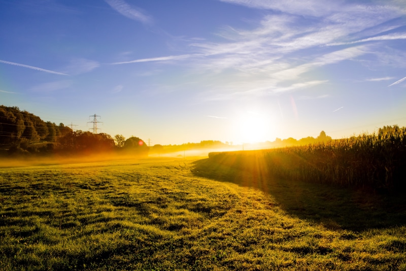 sunrise, hour, green Color, tranquil Scene, bright, scenics - nature, autumn, morning, sunny, summer, mood, sunlight, tranquility, landscape, beauty In Nature
