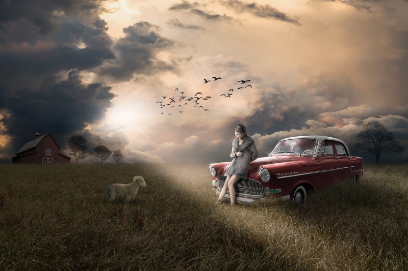 sun, dramatic, land, flying, classic car, grass, spring, animal themes, mammal, field, bird, sunlight, opel, alone, orange, weather, scared, color, sedan