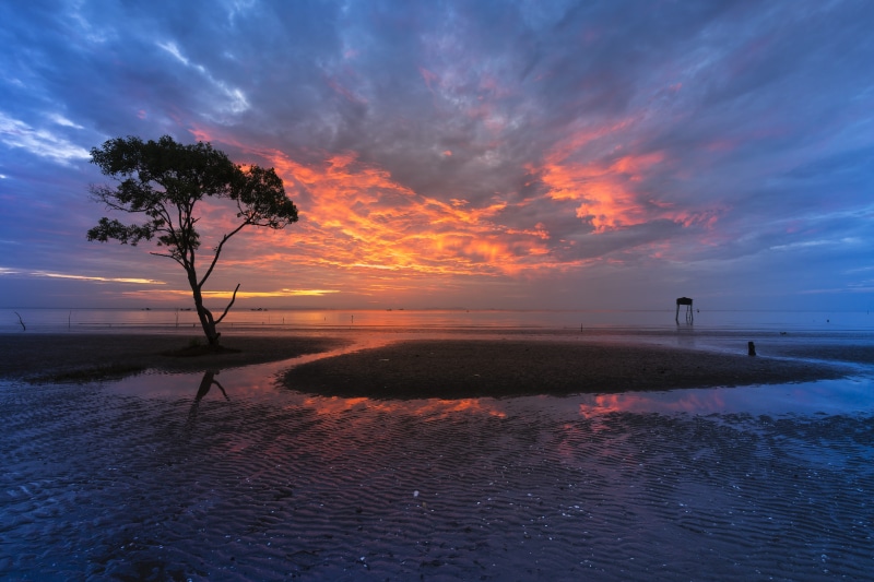 the waves, vietnam, evening, reflect, background, cloud - sky, tranquility, swamp, the sun, scenics - nature, sunrise, sea, non-urban scene, clouds, outdoors