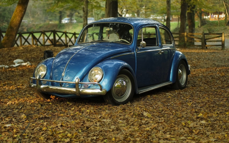 2K, classic, volkswagen, oldtimer, car, beetle, leaves, autumn, park