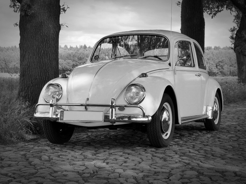 no people, stationary, day, vw, plant, oldtimer, tree trunk, 4K, herbie, classic, tree, vintage car, wheel, tire, street, luxury, silver colored, outdoors