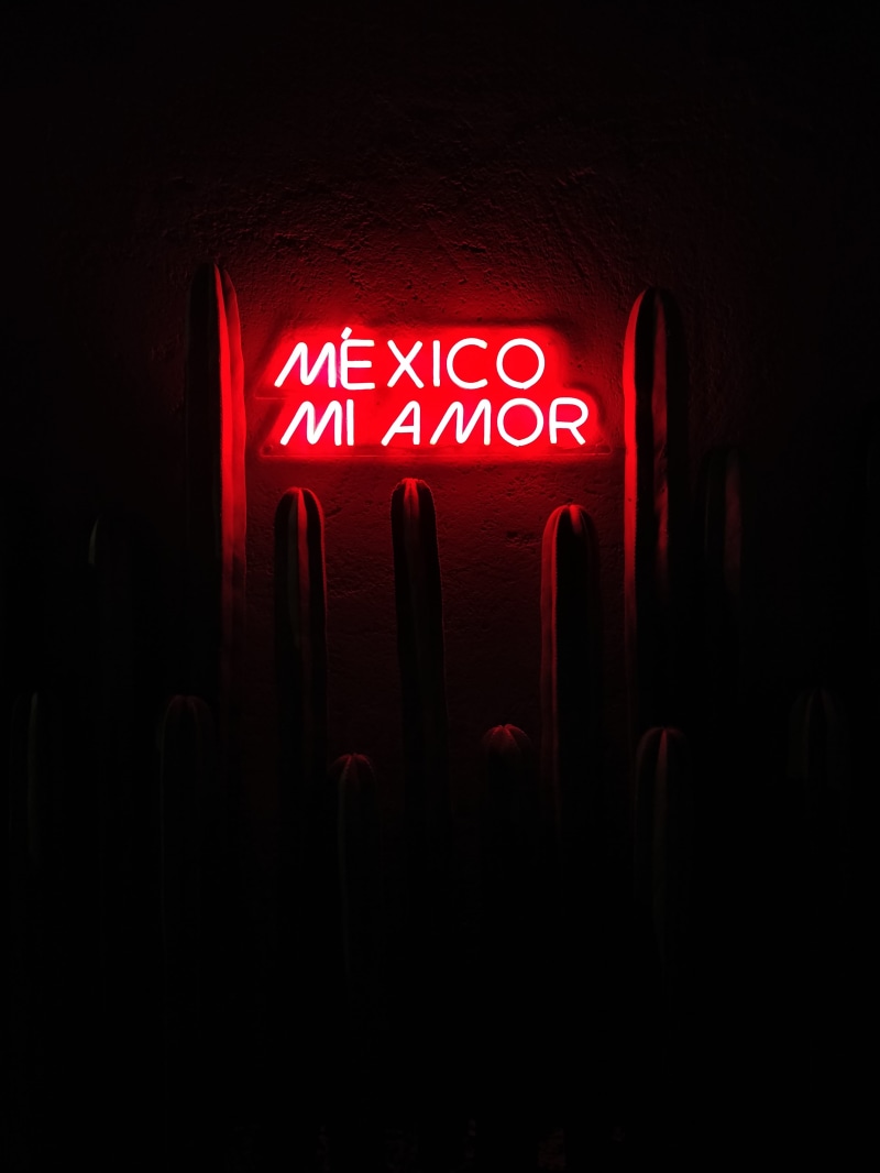 neon sign, color, conceptual, mexico, technology, mi, exit sign, dark, communication, no people, amor, neon, night, design, architecture, led, illuminated