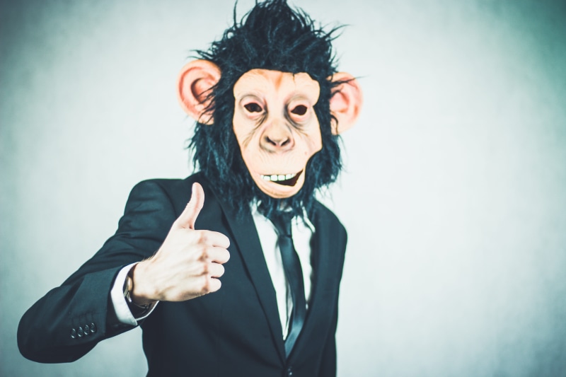 gesturing, young women, monkey, finger, motivation, portrait, high, indoors, successful, management, studio shot, profession, startup, mask, funny, shirt