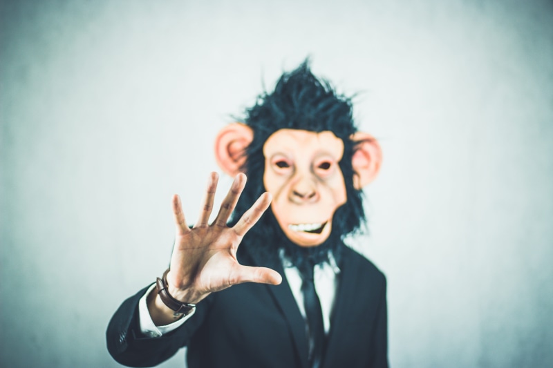application, success, portrait, human face, tax consultant, tie, mask, specialist, bureaucracy, presentation, suit, businessman, making a face, mouth open