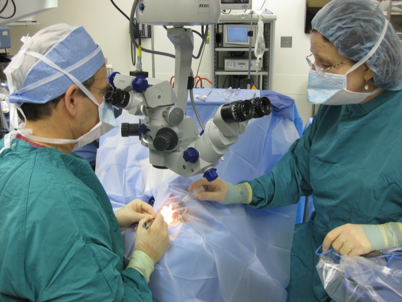 medical exam, surgical mask, two people, surgical, protection, patient, professional, concentration, surgical equipment, indoors, operating gown, medical equipment