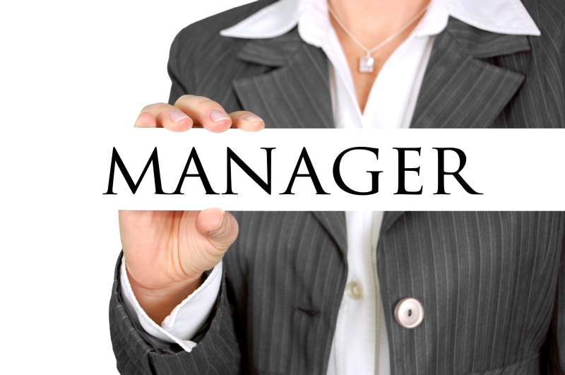 consultant, businesswoman, outfit, business person, professional, head, holding, suit, corporate business, hand, woman, teamwork, executive, economy, expert