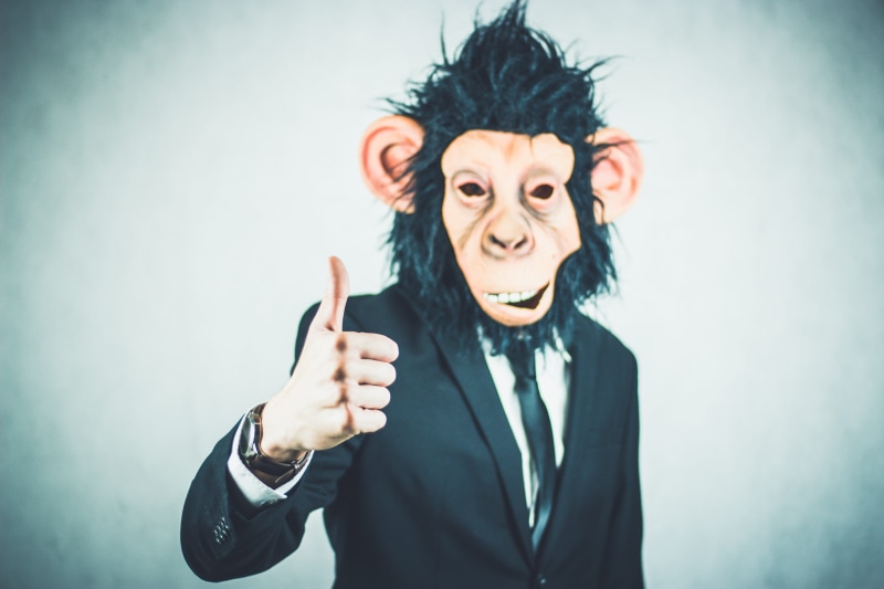 black, meeting, gut, confirm, front view, brown, monkey, looking at camera, dynamic, business, money, jacket, positive emotion, start up, office job, adult