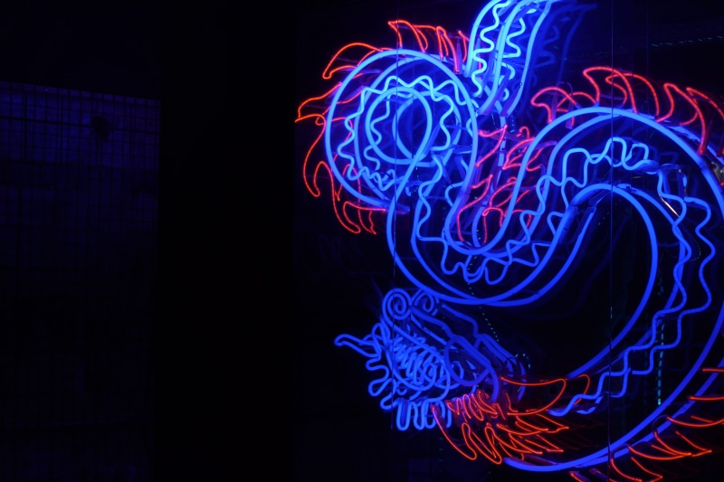 neon, lion, light, motion, vibrant color, abstract, dark, marine, glowing, luminosity, 4K, no people, lighting equipment, technology, light - natural phenomenon