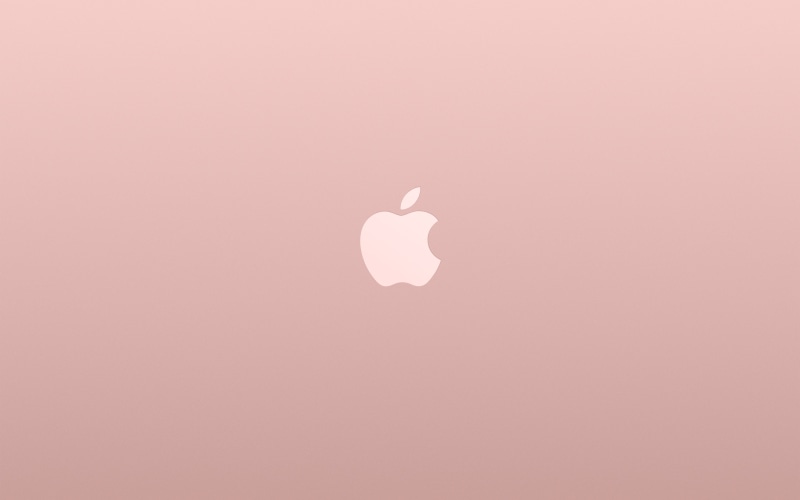 copy space, nature, rose, day, white, design, studio shot, heart shape, minimal, pink color, animal, apple, 4K, pink, shape, backgrounds, logo, beauty in nature