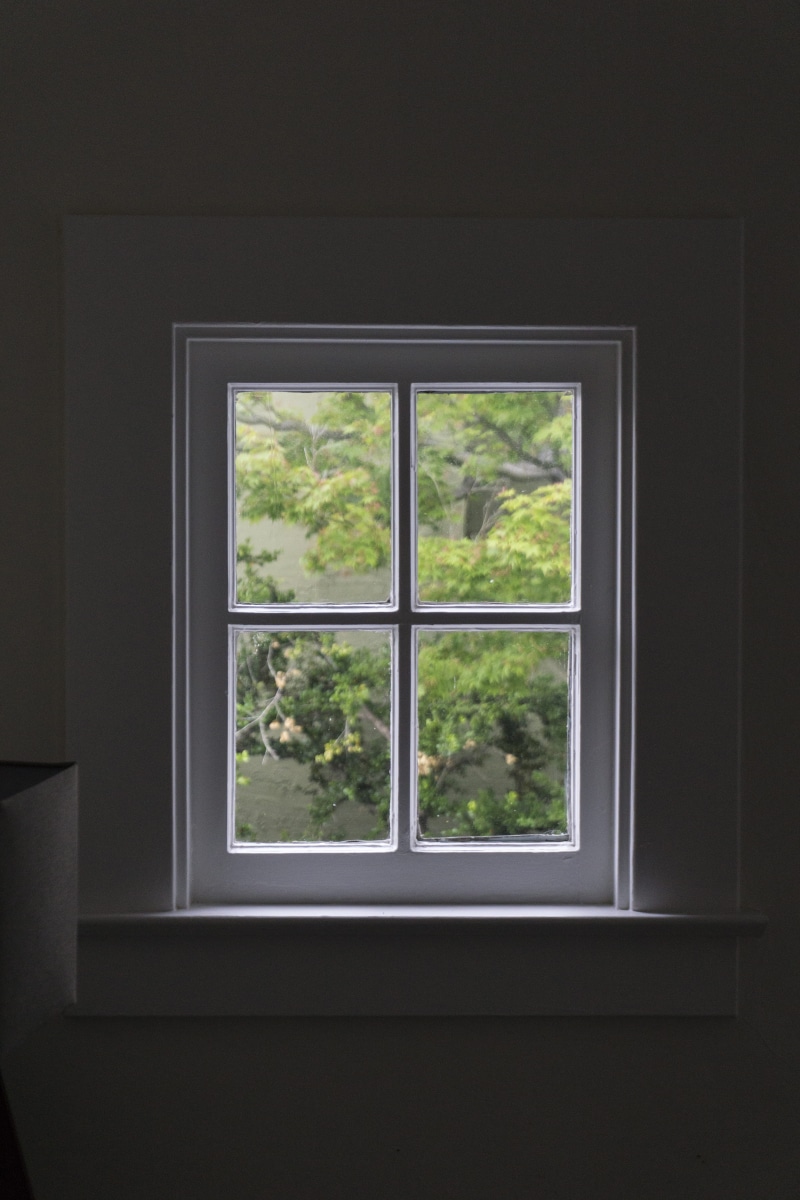 day, minimalistic, plant, pane, frame, wall, gray, indoors, peace, tree, interior, room, garden, window frame, indoor, looking out, glass - material, blur